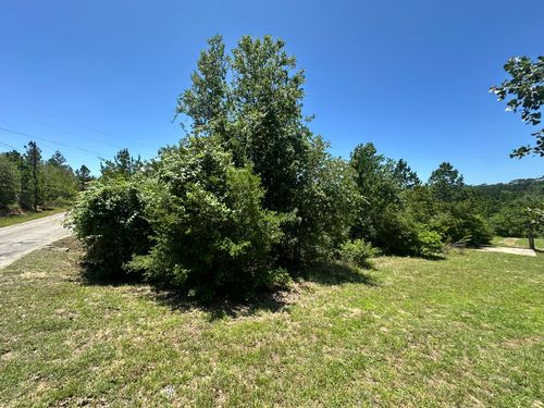 000 Manawianui Dr, Bastrop, TX, 78602 | Card Image