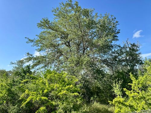 0 County Road 104, Pettus, TX, 78146 | Card Image