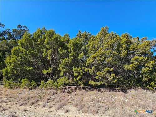 TBD Tbd County Road 3831, Evant, TX, 76525 | Card Image