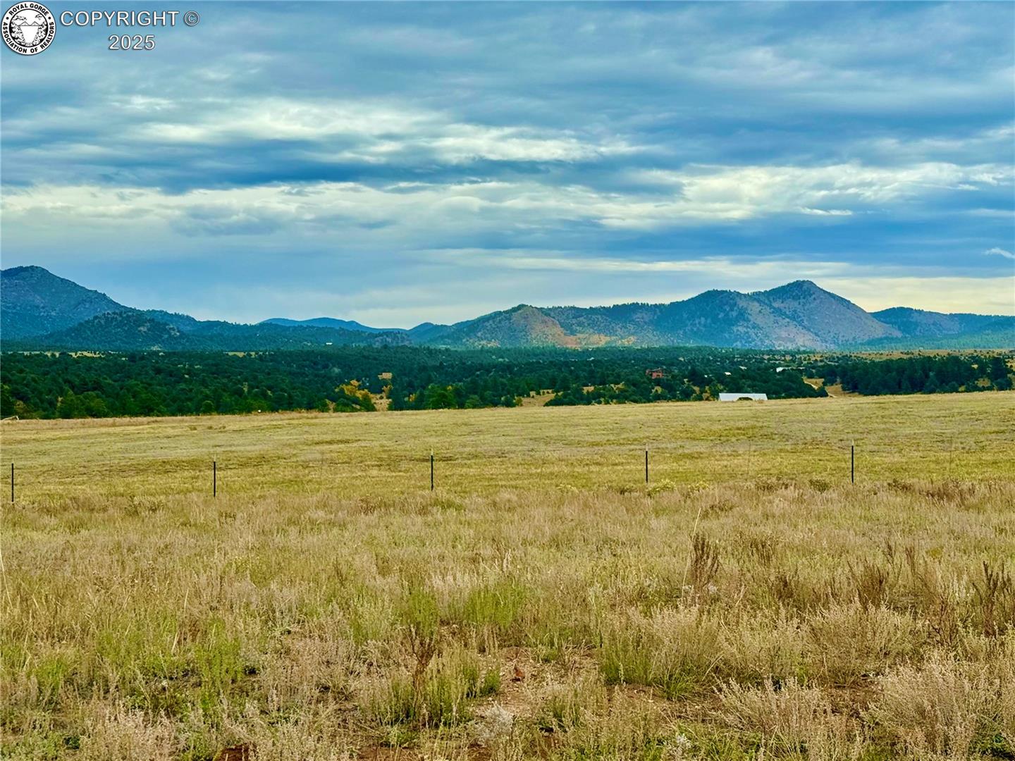 Land in Westcliffe 5