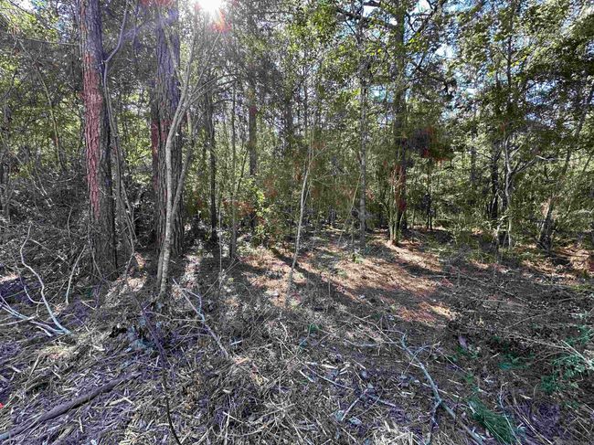26.85 Acres Heritage Acres Ln, Home with 0 bedrooms, 0 bathrooms and null parking in Robert LA | Image 8