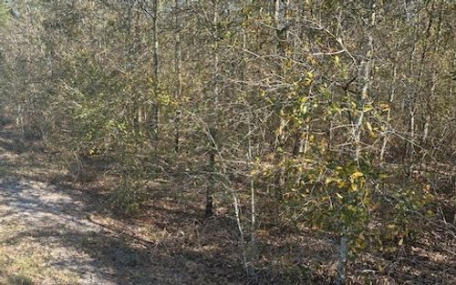 TBD Se Patriot Trl, LEE, FL, 32059 | Card Image