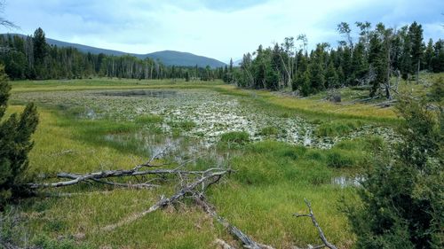 lot-3-NHN Moose Lake Road, Philipsburg, MT, 59858 | Card Image