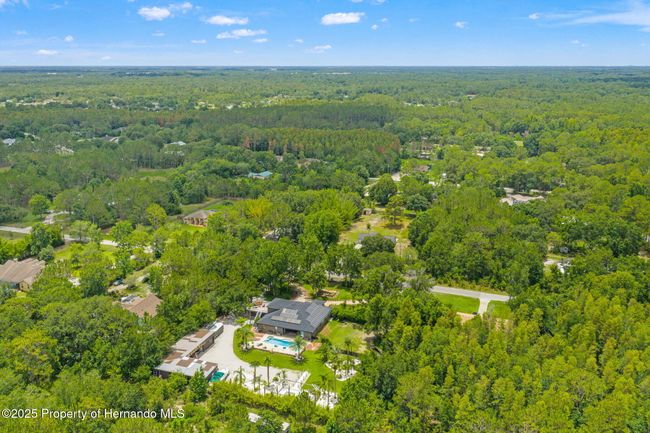 26221 Pheasant Run, House other with 4 bedrooms, 3 bathrooms and null parking in Wesley Chapel FL | Image 82