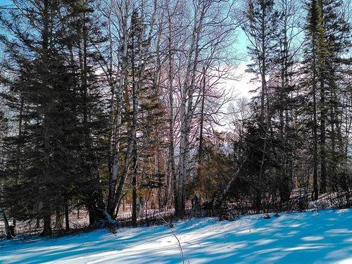 xxx Hoaglund Dr, Tofte, MN, 55615 | Card Image