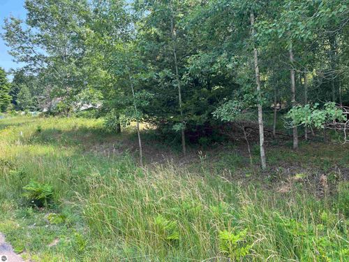 Lot 73 Hilltop Dr, Rapid City, MI, 49676 | Card Image