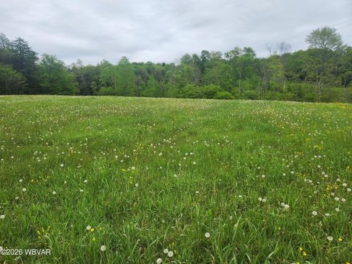 lot-4-4 Dykes Rd, Forksville, PA, 18616 | Card Image