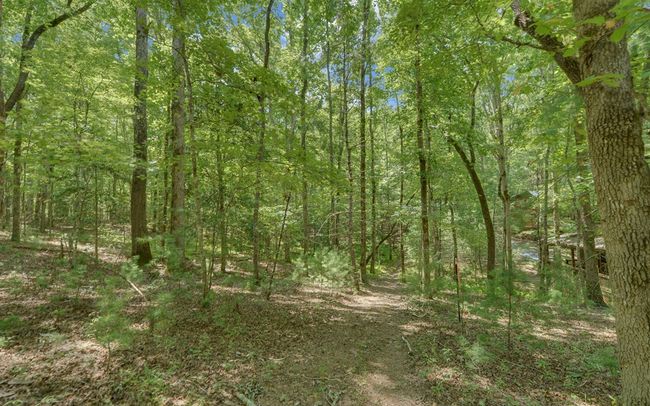 890 Mountain Lake Cir, Home with 3 bedrooms, 3 bathrooms and null parking in Blue Ridge GA | Image 39