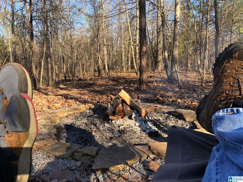 1-00 Us Hwy 231, Ragland, AL, 35131 | Card Image