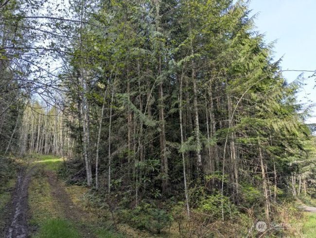 9999 Lone Tree Dr, Home with 0 bedrooms, 0 bathrooms and null parking in Sequim WA | Image 8