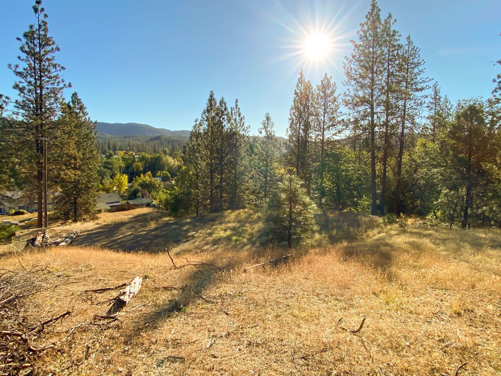 Land in Weaverville 5