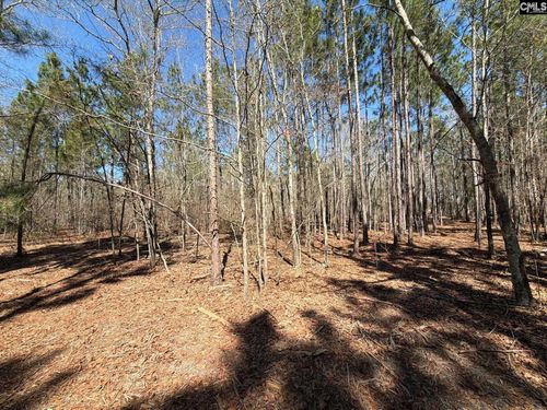 BHL 13 Boise Cascade Road, Bethune, SC, 29009 | Card Image