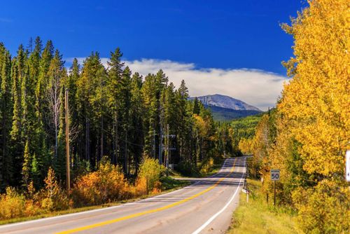231031 Forestry Way, Bragg Creek, AB, T0L0K0 | Card Image