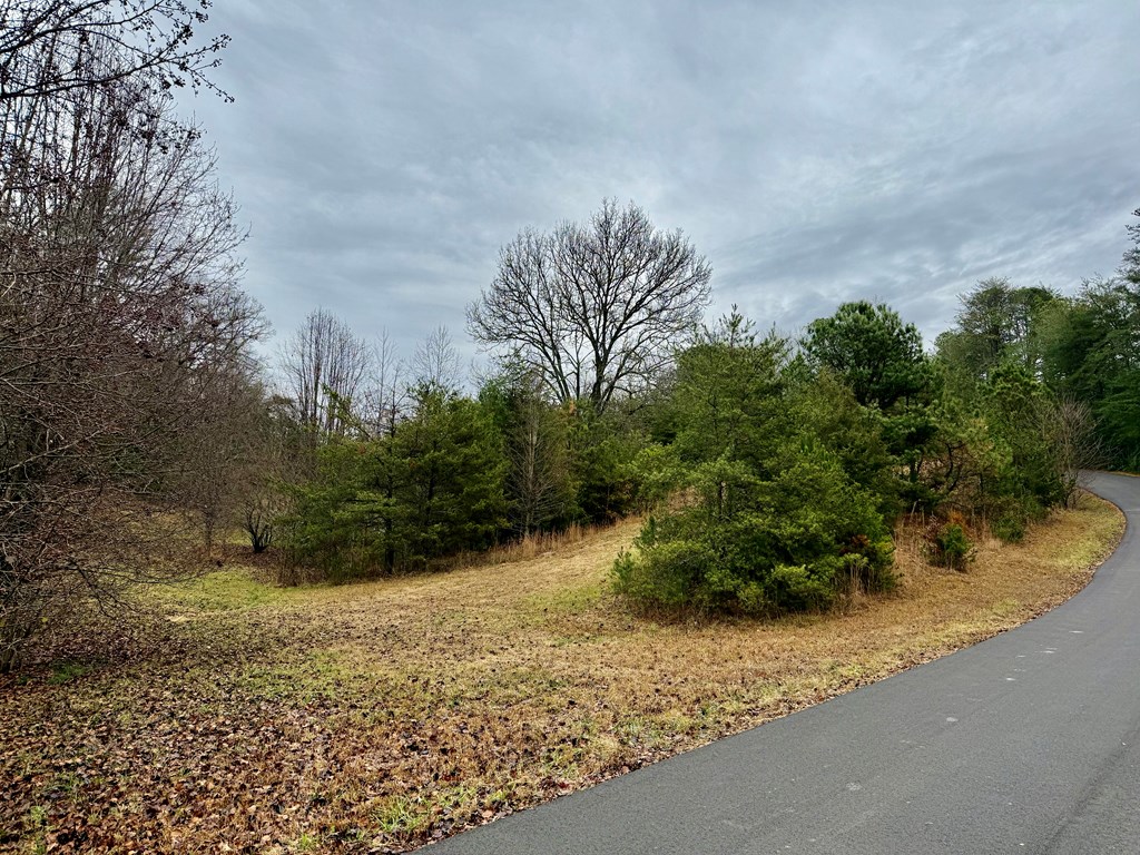 Land in Franklin 4