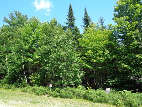 Lot 11 Bailey Mountain Dr, Franklin, ME, 04634 | Card Image