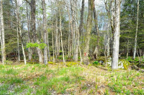 103 - 104 Arbutus Ct, Terra Alta, WV, 26764 | Card Image