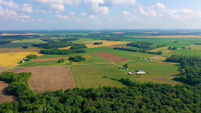 0 Davis Mill Rd, Home with 0 bedrooms, 0 bathrooms and null parking in Trenton KY | Image 5
