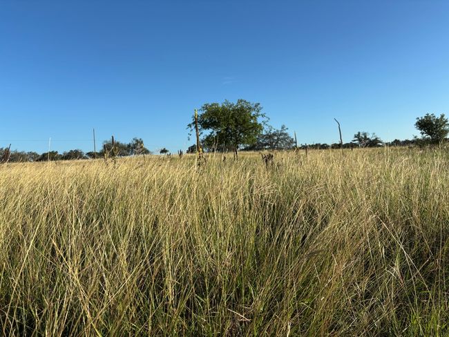 20 - 183 Lipan Loop Nw, Home with 0 bedrooms, 0 bathrooms and null parking in Harper TX | Image 9
