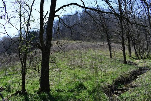 219.44ac Tick Ridge Road, Celina, TN, 38551 | Card Image