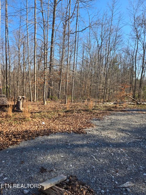 1434 Catoosa Rd, Wartburg, TN, 37887 | Card Image