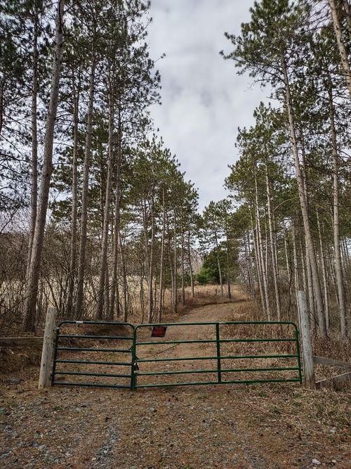 XXX Haldaman Dr, Black River Falls, WI, 54615 | Card Image