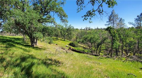 15687 Stagecoach Rd, Corning, CA, 96021 | Card Image