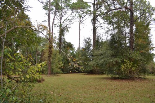 0 Southern Oaks Dr, Tallahassee, FL, 32308 | Card Image