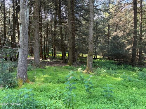 PARCEL 25693 Queens Run Road, LOCK HAVEN, PA, 17745 | Card Image