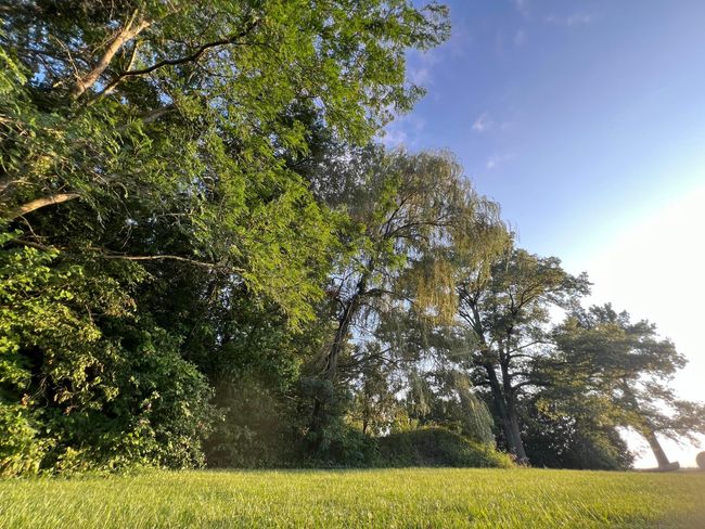0 Norton Road, Home with 0 bedrooms, 0 bathrooms and null parking in Radnor OH | Image 23