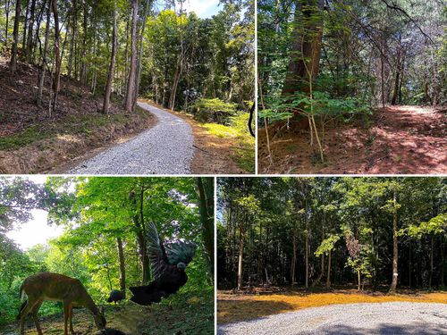 tract-10-at-titus-33114 Parkinson Rd, Middleport, OH, 45760 | Card Image