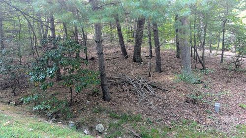 74-101 Scenic Dr, Flat Rock, NC, 28731-8524 | Card Image