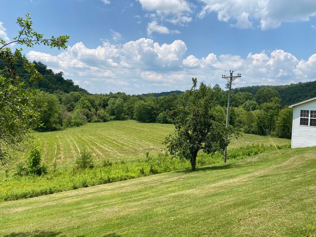 648 Hayes Creek Rd, House other with 3 bedrooms, 1 bathrooms and null parking in Strunk KY | Image 40