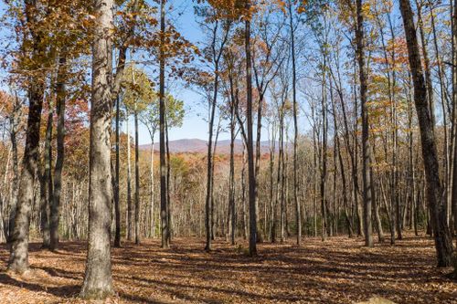 19R Settlement Trail, Ellijay, GA, 30536 | Card Image