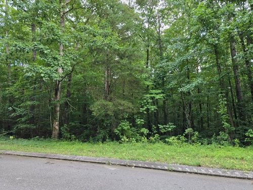 Lot 144 Lower Brow Rd, Dunlap, TN, 37327-6878 | Card Image