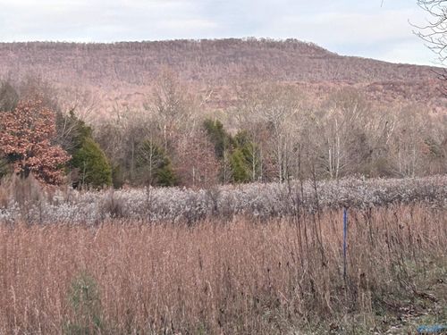 2265 Hurricane Creek Rd, Gurley, AL, 35748-8844 | Card Image