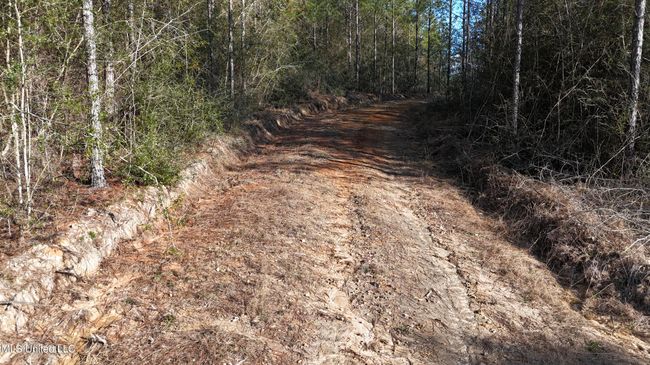 Trails 28 | Image 21