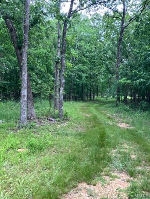 282 Madison Cr 410, Fredericktown, MO, 63645 | Card Image