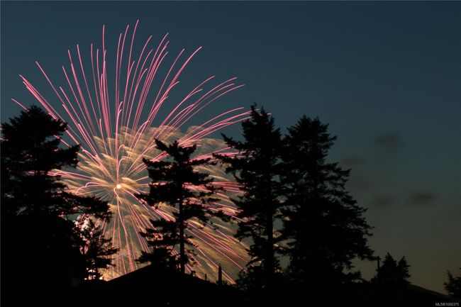 Enjoy the July 1st fireworks from the deck | Image 73