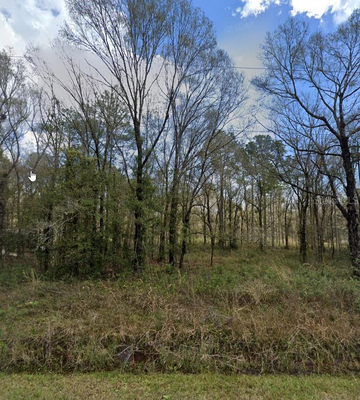 Land in HASTINGS 5