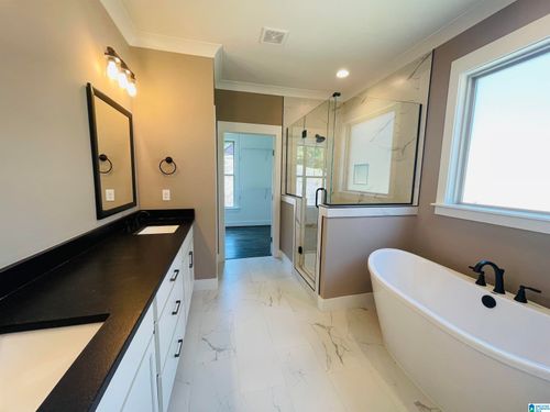 585 Whitetail Run, CHELSEA, AL, 35043-8700 | Card Image