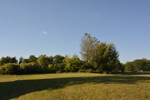 321 Pine St, Beecher, IL, 60401-4011 | Card Image