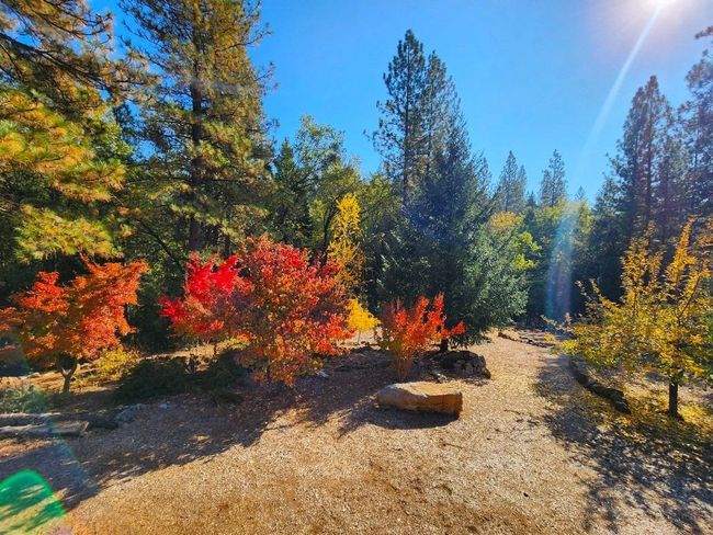 955 Grinding Rock Ct, House other with 3 bedrooms, 2 bathrooms and null parking in West Point CA | Image 7