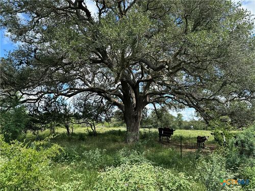 10 Burlin Lane, Meyersville, TX, 77974 | Card Image