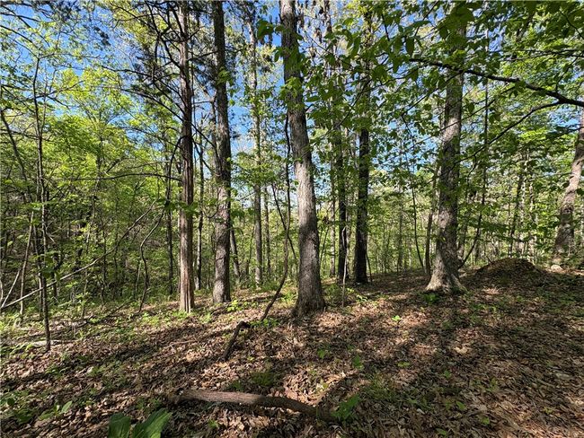 000 Holmes Rd, Home with 0 bedrooms, 0 bathrooms and null parking in Mountain View AR | Image 7