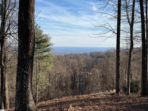 Lot 152 Goldenrod Way, Landrum, SC, 29356 | Card Image