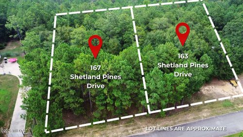 163 Shetland Pines Dr, Macon, GA, 31216-5945 | Card Image