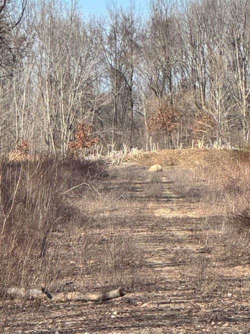 0 Moore Dr, Allegan, MI, 49010 | Card Image