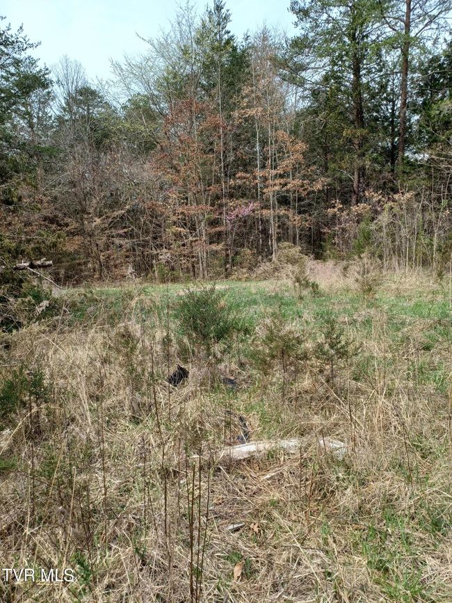View of Clearning | Image 8