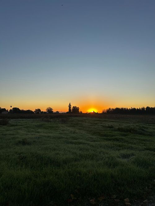 21324 N Dutchess Lane, Acampo, CA, 95220 | Card Image