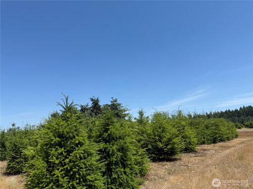 101 Se Dusty Ln, Shelton, WA, 98584-5300 | Card Image